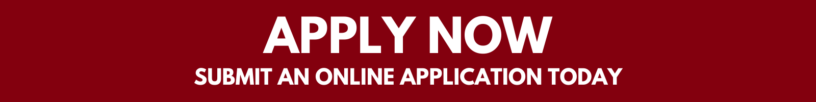 Apply now button